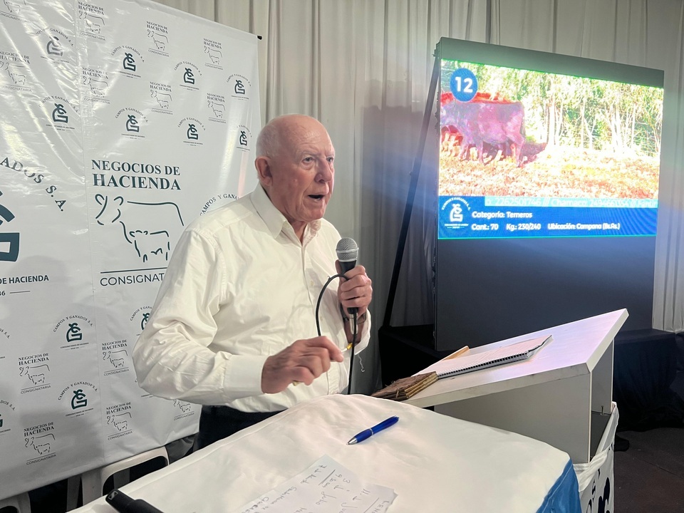 Con excelente marco y precios firmes, Campos y Ganados remató 7.700 cabezas en AgroActiva